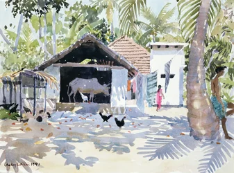 Los remansos, Kerala, India